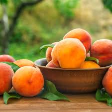 Fuzzy Peaches